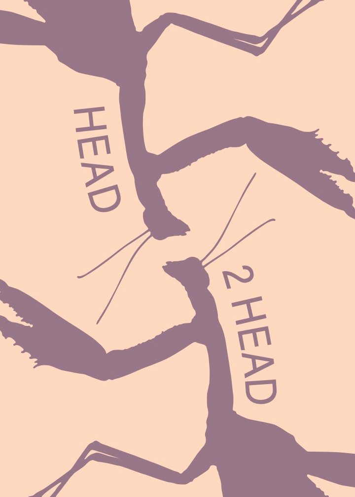 Head 2 Head poster.